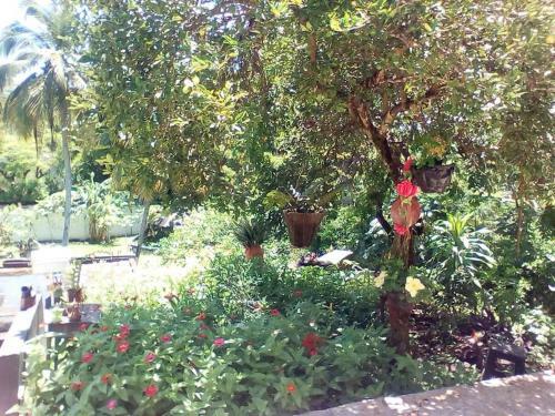 Agradable Caba�a Campestre Con Piscina
