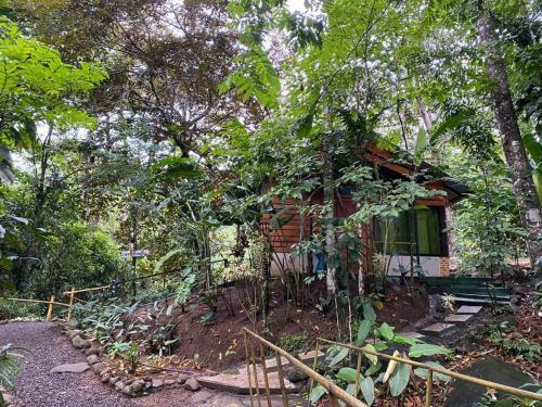 Hotel Guapote Lodge