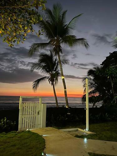 The Backyard Beach House
