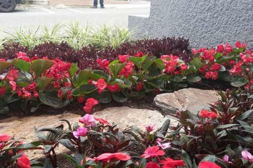 Apartamento Lugar Encantador Con Jacuzzi Y Excelente Ubicaci�n