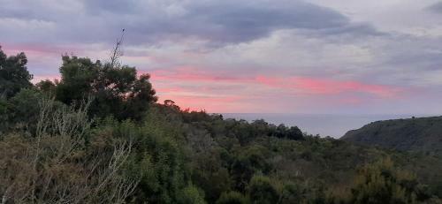 Apartamento Oriole Serene Self Catering Studio