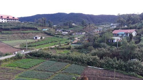 Hostal The New View
