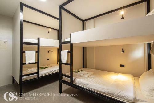 Hotel Only Seed Resort ???????