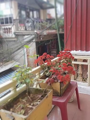 Bed & Breakfast Hoang Long Hotel