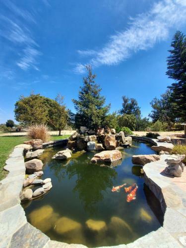 Staycation Secluded 3 Acre With Pool - Angel Ranch