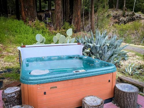 Glamping In The Redwoods