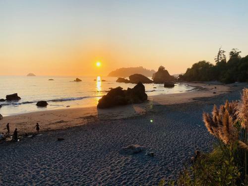 Glamping In The Redwoods