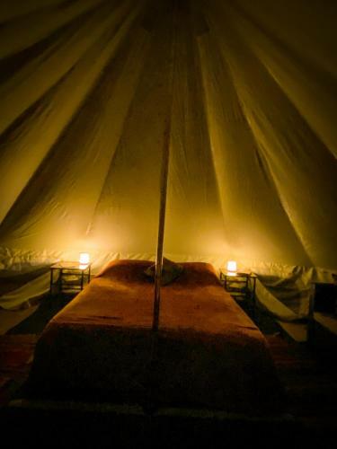 Glamping In The Redwoods