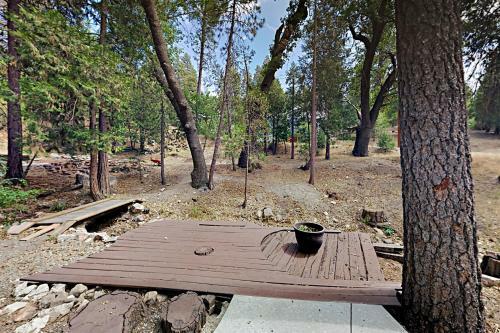 Paradise In The Pines