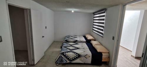 Casa Jazmin Queretaro Centro