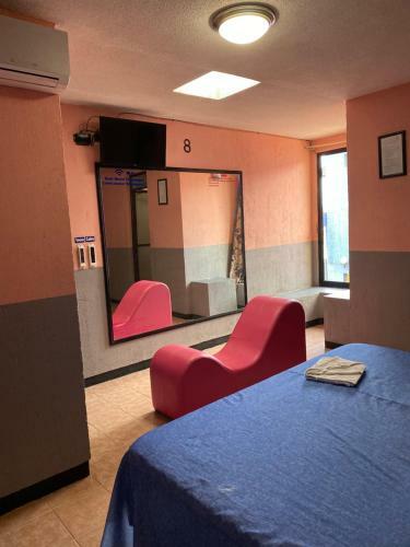 Motel Flamingos