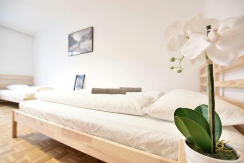 Studio Apartment With View