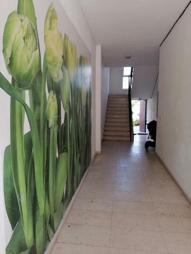 Apartamento ?????????? ????