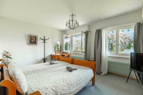 Hostal Ground Floor Rooms With Stunning Lake View & Garden Access