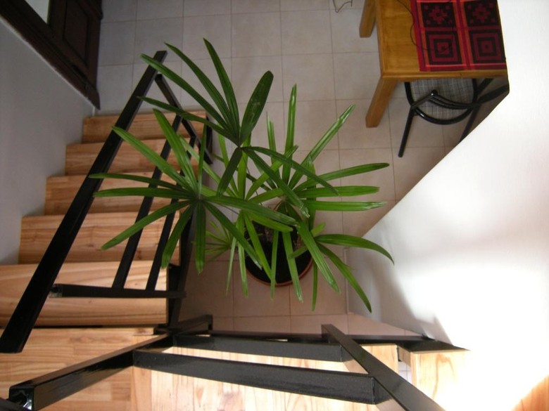 Bed & Breakfast Le Jardin Vertical
