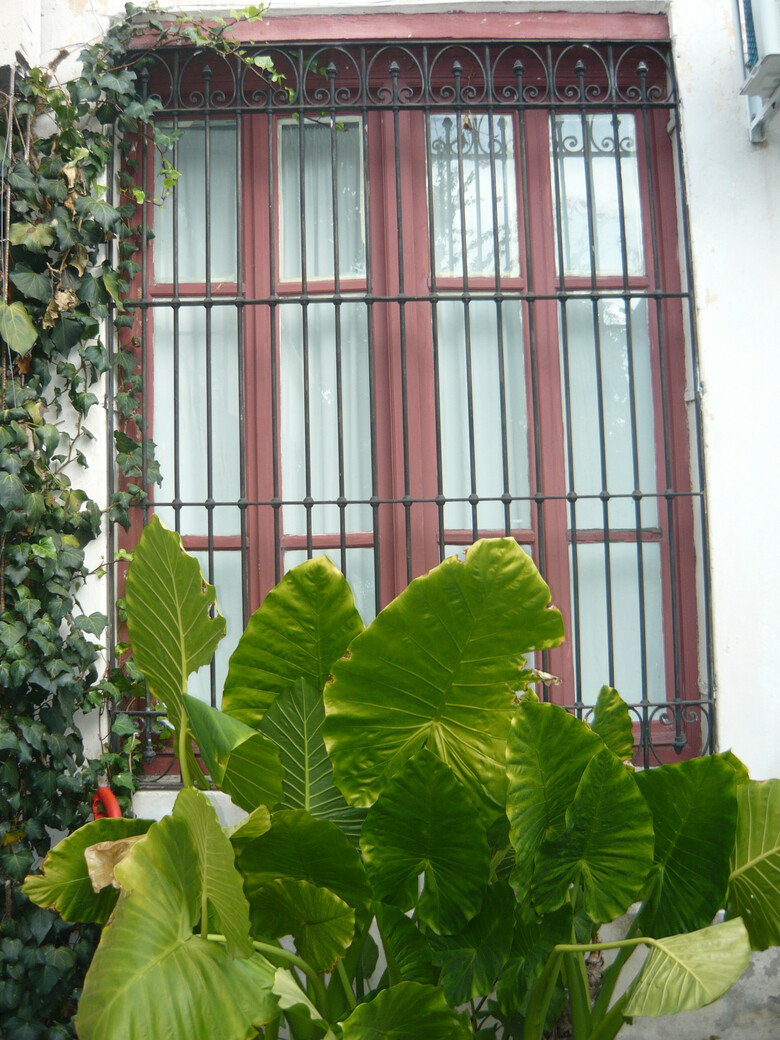 Hostal Posada Casa De Borgo�a