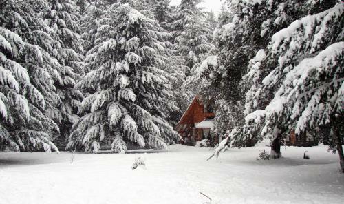 Lodge �lamos De Meli Tue