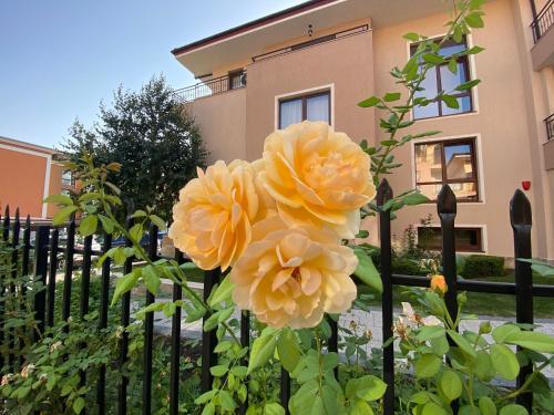 Apartamento Sea Dreams F17