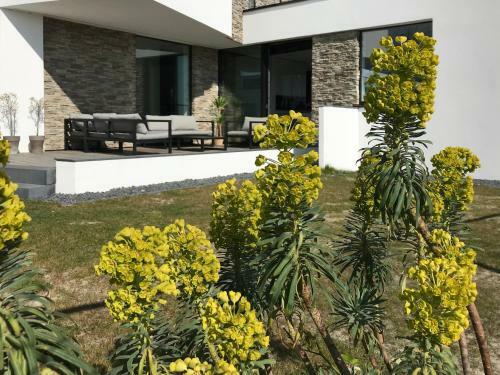 Villa Carrib