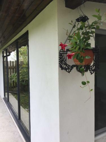 Casa Felicia