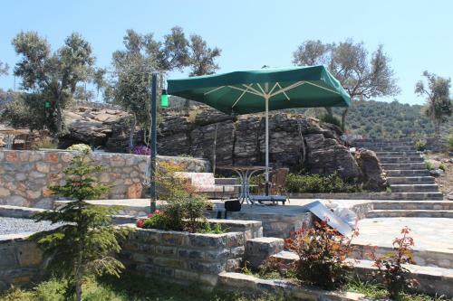 Agroturismo Olive Garden Retreat