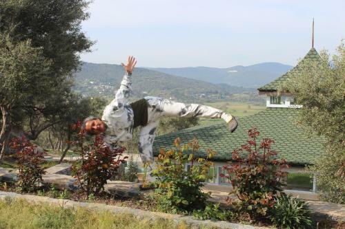 Agroturismo Olive Garden Retreat