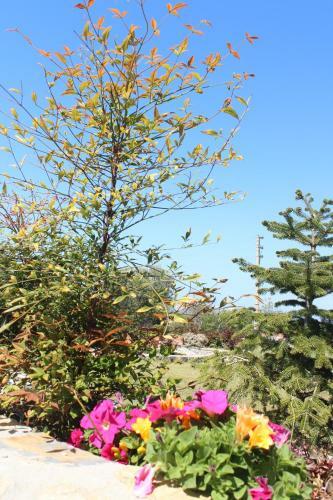Agroturismo Olive Garden Retreat