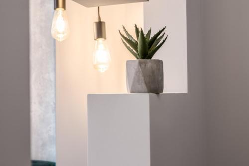 Modern Apartment