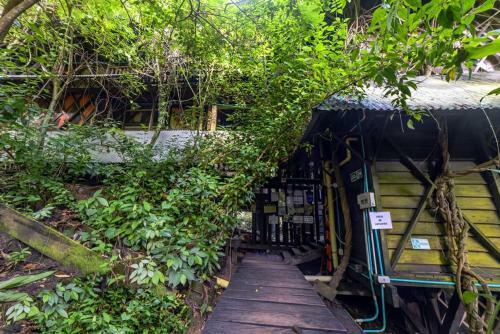 Hotel Paraiso Ayahuasca