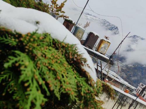 Hostal Odyssey's Sunrise Homestay