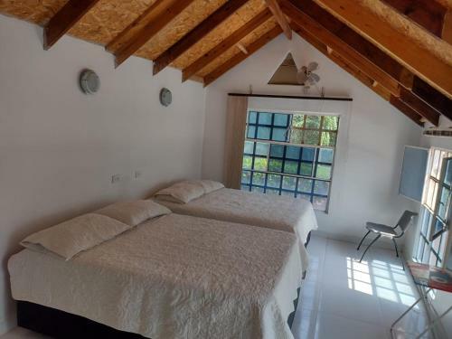 Lodge Caba�a Caribe�a
