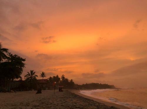 Eco Lodge Atlantis