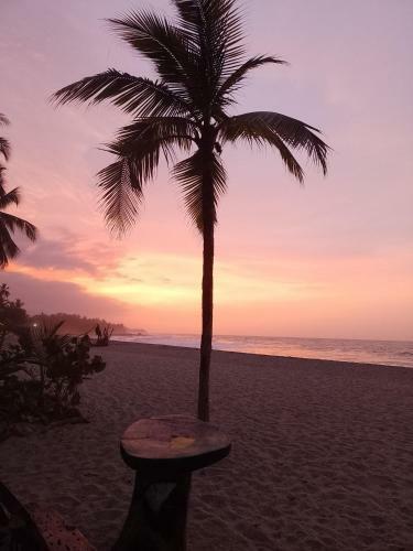 Eco Lodge Atlantis