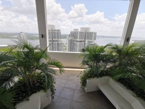 Apartamento C2509 Almas Suites Muji Studio100mbpsnetflix By Stay