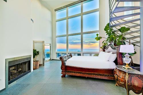 Dolphin View Vista