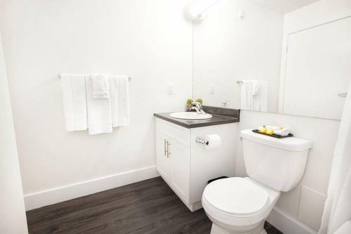 Apartamento Cozy Studio On 4th Floor With Wi-fi, Patio, Parking & Laundry!