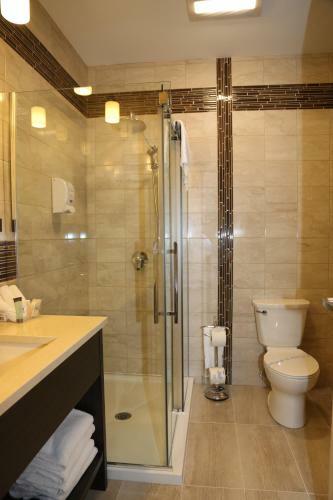 Hotel Auberge Des Battures - Suite