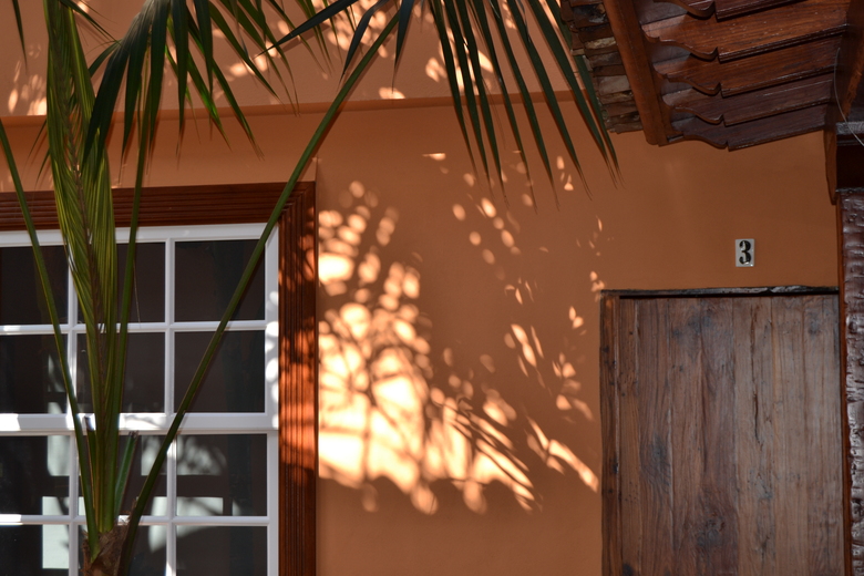 Hotel Emblem�tico San Marcos