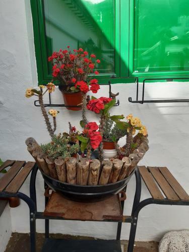 Hostal Casa Santana Segura