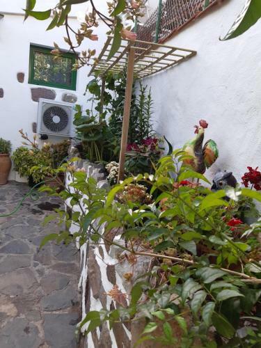 Hostal Casa Santana Segura