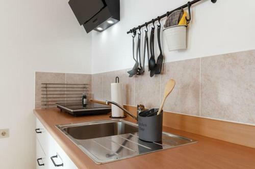 Vanek Apartment