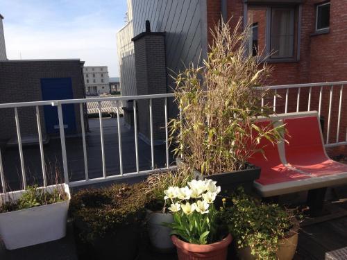 Bright Apartment In Oostende With Roof Terrace