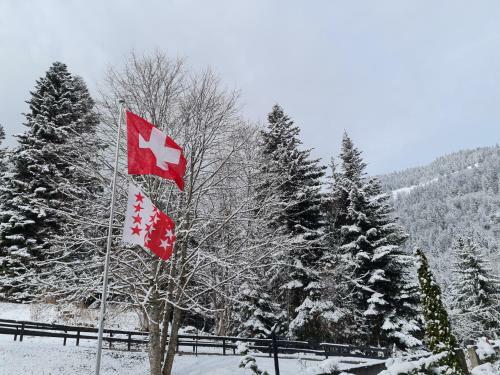 Apartamento Le Cleuset, Appartement 59, Torgon Schweiz