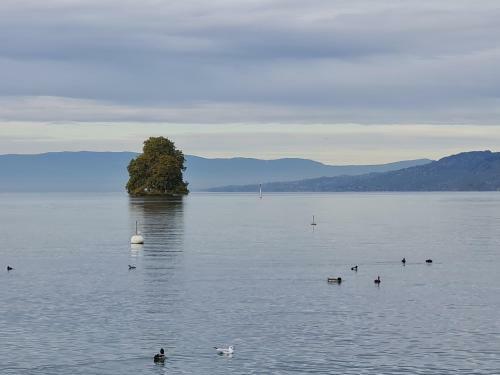 Apartamento Le Cleuset, Appartement 59, Torgon Schweiz