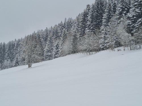 Apartamento Le Cleuset, Appartement 59, Torgon Schweiz