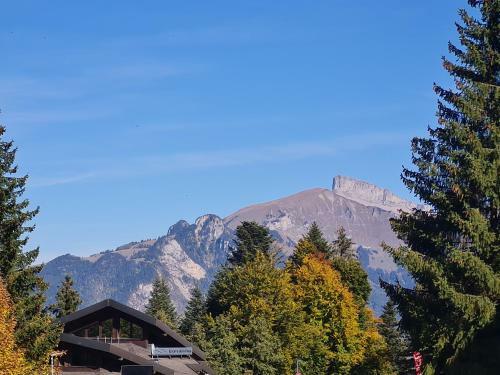 Apartamento Le Cleuset, Appartement 59, Torgon Schweiz