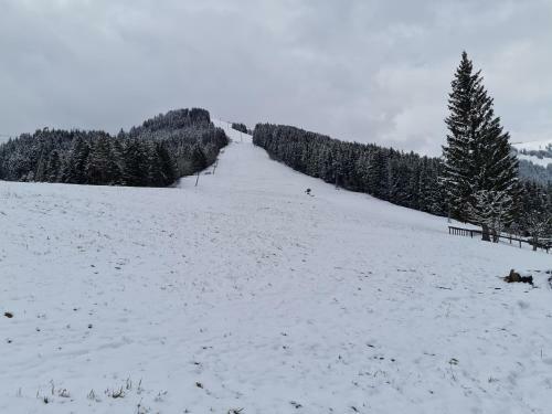 Apartamento Le Cleuset, Appartement 59, Torgon Schweiz
