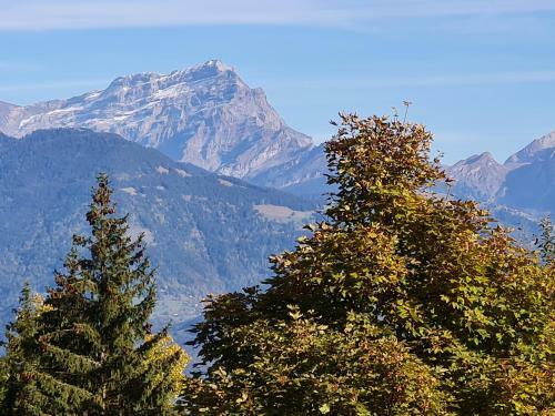 Apartamento Le Cleuset, Appartement 59, Torgon Schweiz