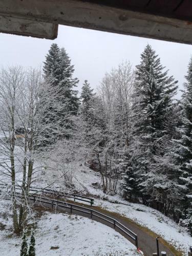 Apartamento Le Cleuset, Appartement 59, Torgon Schweiz