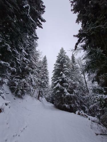 Apartamento Le Cleuset, Appartement 59, Torgon Schweiz
